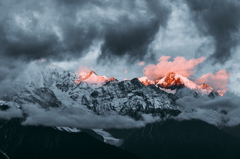 Elegant Christmas and holiday party decorations with festive table settings - Petal & Pearl Decor